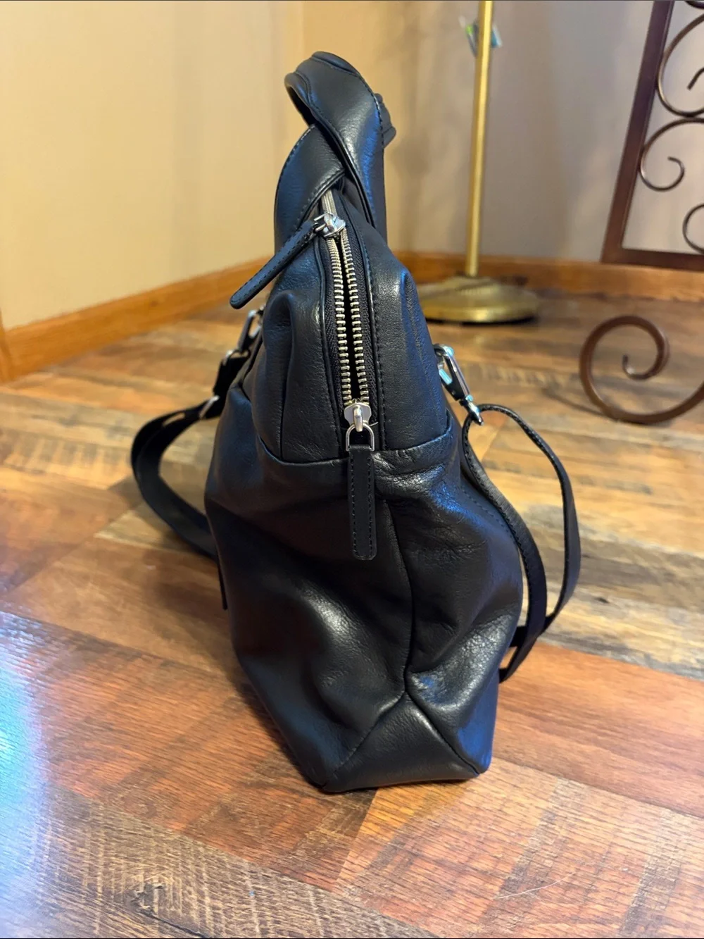 Delsey Genuine Leather Carrying Case